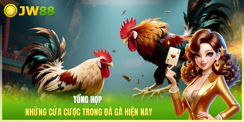 Tổng hợp những cửa cược trong đá gà hiện nay